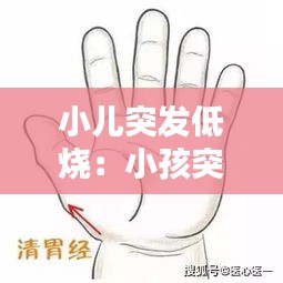 小儿突发低烧：小孩突然发低烧怎么办 