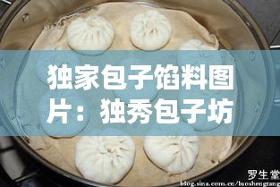 独家包子馅料图片：独秀包子坊加盟 
