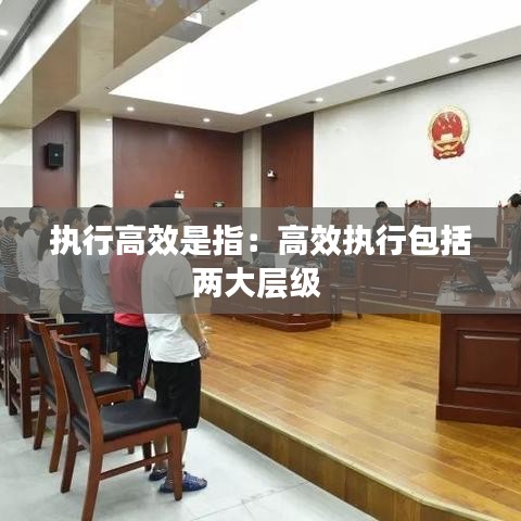 执行高效是指：高效执行包括两大层级 