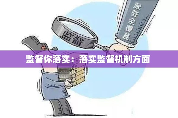 监督你落实：落实监督机制方面 
