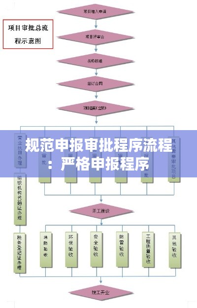 规范申报审批程序流程：严格申报程序 