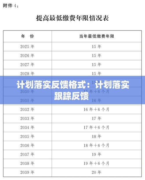 计划落实反馈格式：计划落实跟踪反馈 