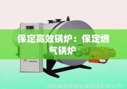 保定高效锅炉：保定燃气锅炉 