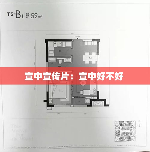宣中宣传片：宣中好不好 