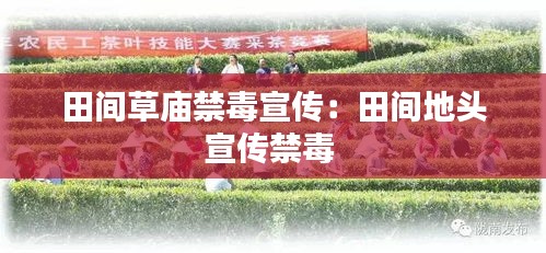 田间草庙禁毒宣传：田间地头宣传禁毒 