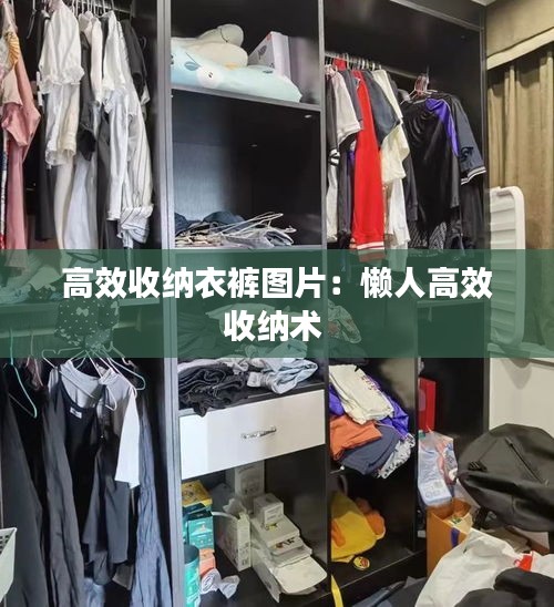 高效收纳衣裤图片：懒人高效收纳术 