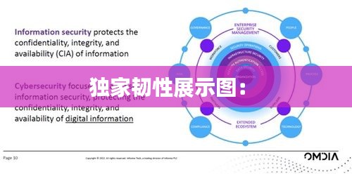 独家韧性展示图： 