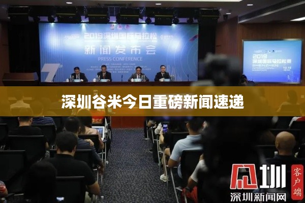 深圳谷米今日重磅新闻速递