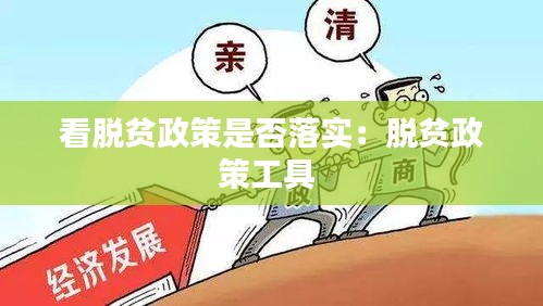 看脱贫政策是否落实：脱贫政策工具 