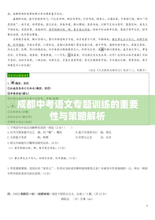 成都中考语文专题训练的重要性与策略解析