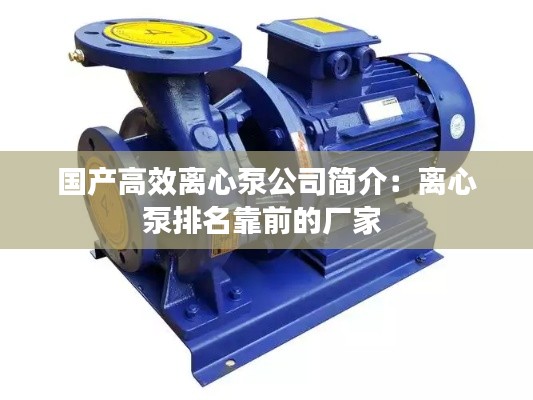 国产高效离心泵公司简介：离心泵排名靠前的厂家 