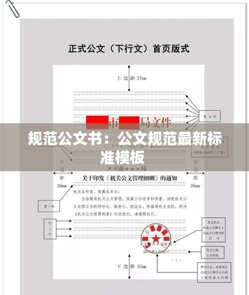 规范公文书：公文规范最新标准模板 