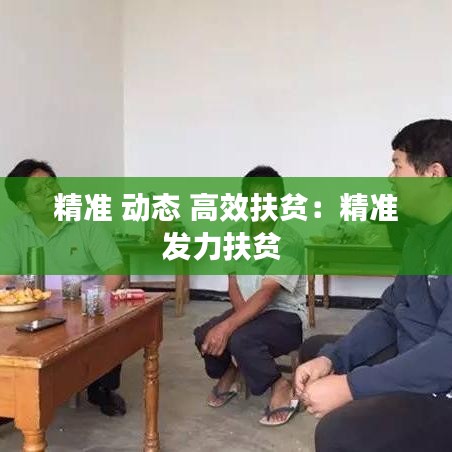 精准 动态 高效扶贫：精准发力扶贫 