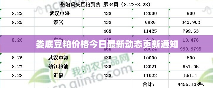 娄底豆粕价格今日最新动态更新通知