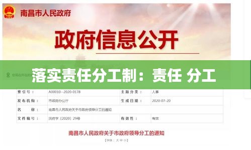 落实责任分工制：责任 分工 