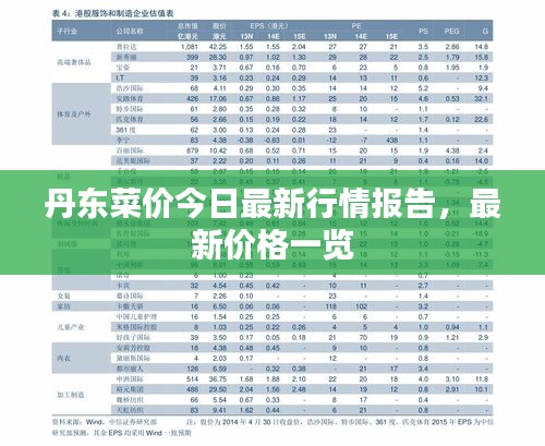 丹东菜价今日最新行情报告，最新价格一览