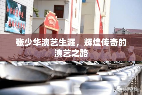 张少华演艺生涯，辉煌传奇的演艺之路