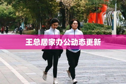 王总居家办公动态更新