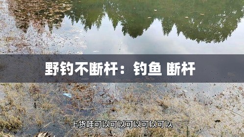 野钓不断杆：钓鱼 断杆 
