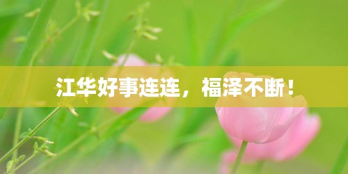 江华好事连连，福泽不断！