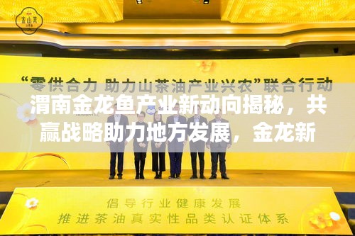渭南金龙鱼产业新动向揭秘，共赢战略助力地方发展，金龙新闻头条抢先看！