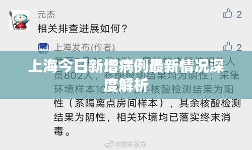 上海今日新增病例最新情况深度解析