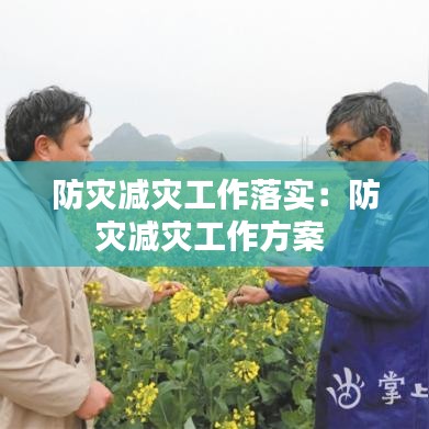 防灾减灾工作落实：防灾减灾工作方案 