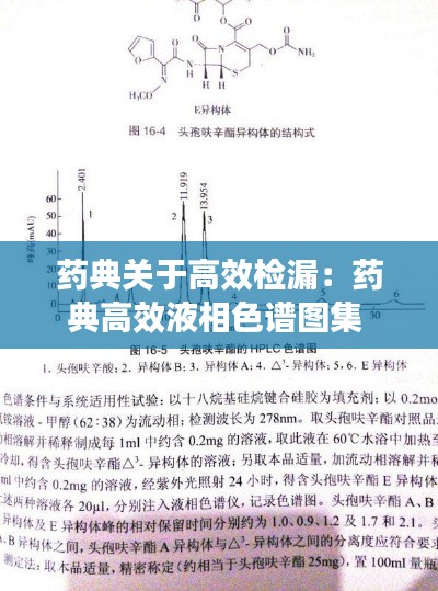 药典关于高效检漏：药典高效液相色谱图集 