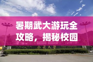 暑期武大游玩全攻略，揭秘校园美景与隐藏玩法
