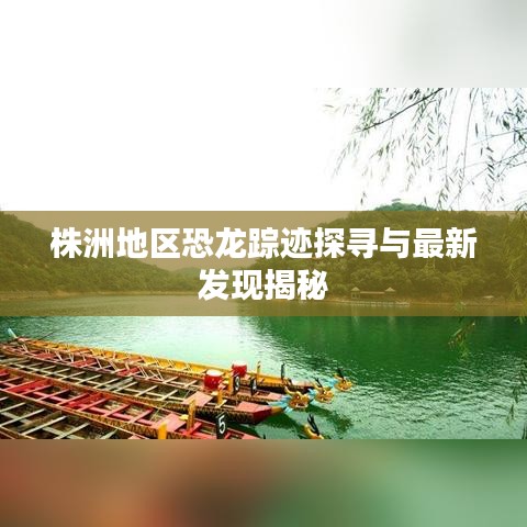 株洲地区恐龙踪迹探寻与最新发现揭秘