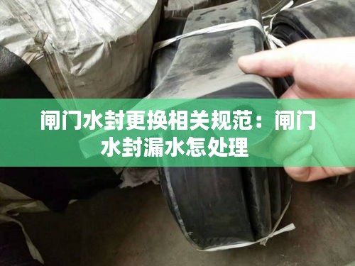 闸门水封更换相关规范：闸门水封漏水怎处理 
