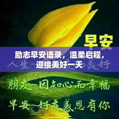 笨鸟先飞 第2页