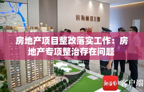房地产项目整改落实工作：房地产专项整治存在问题 