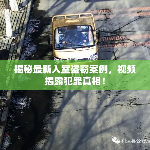 揭秘最新入室盗窃案例，视频揭露犯罪真相！