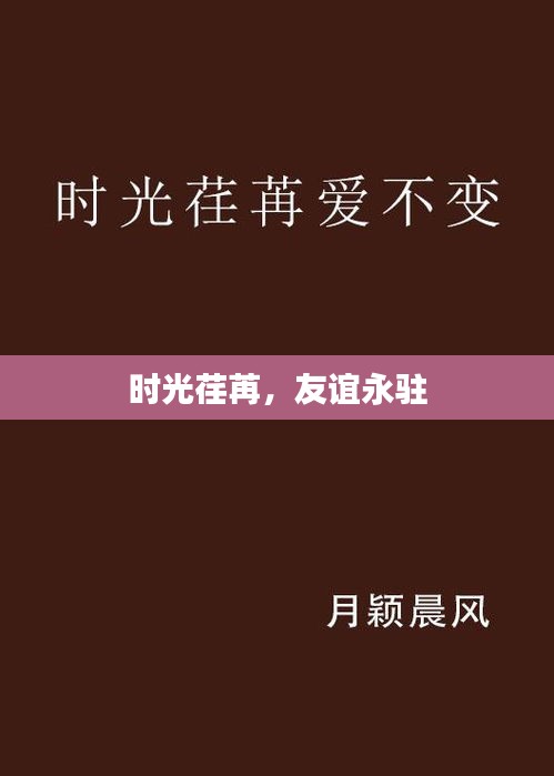 时光荏苒，友谊永驻