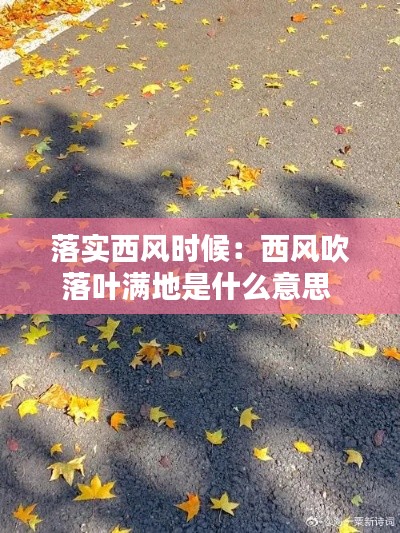 落实西风时候：西风吹落叶满地是什么意思 
