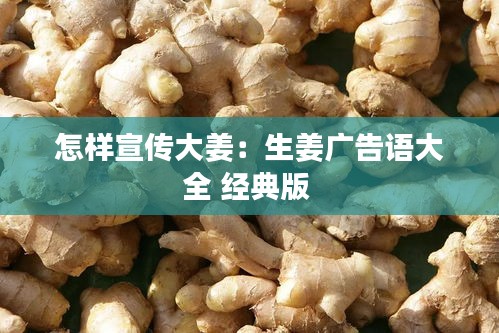 怎样宣传大姜：生姜广告语大全 经典版 