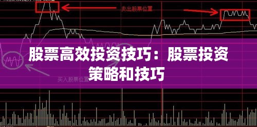 股票高效投资技巧：股票投资策略和技巧 