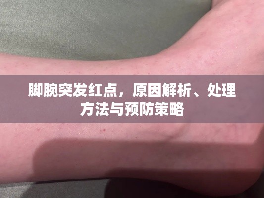 脚腕突发红点，原因解析、处理方法与预防策略
