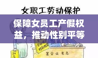 保障女员工产假权益，推动性别平等，共建和谐社会