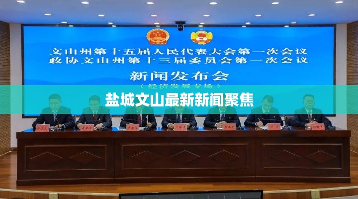 盐城文山最新新闻聚焦