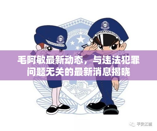 毛阿敏最新动态，与违法犯罪问题无关的最新消息揭晓