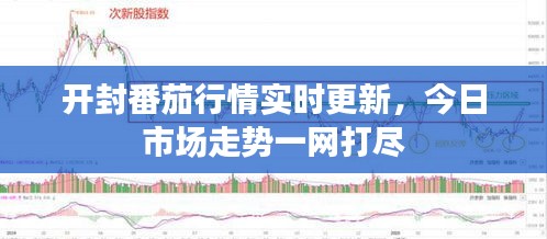 开封番茄行情实时更新，今日市场走势一网打尽