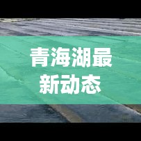 青海湖最新动态报道