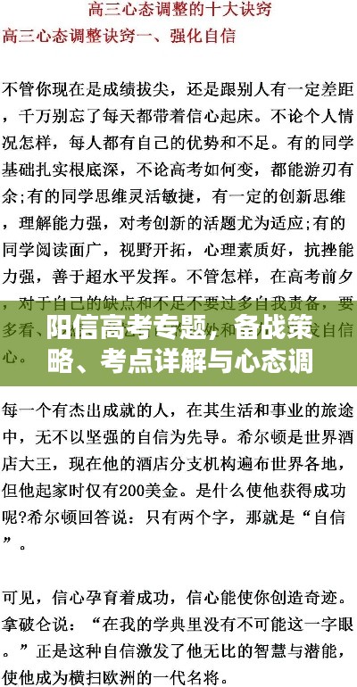 阳信高考专题，备战策略、考点详解与心态调整指南
