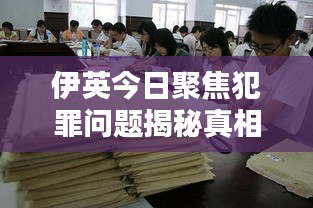伊英今日聚焦犯罪问题揭秘真相视频报道