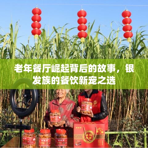 衣不完采 第2页