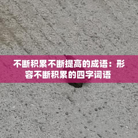 不断积累不断提高的成语：形容不断积累的四字词语 