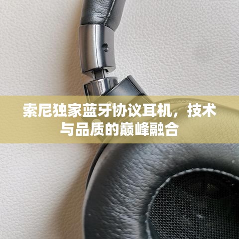 索尼独家蓝牙协议耳机，技术与品质的巅峰融合