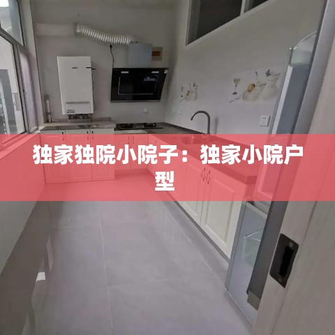 独家独院小院子：独家小院户型 